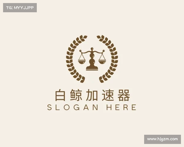 解读白鲸加速器